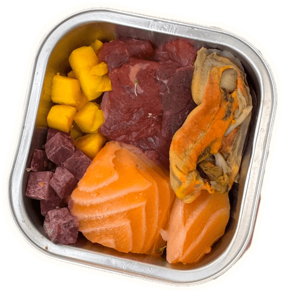 Deep Sea Salmon & Beef Bowl