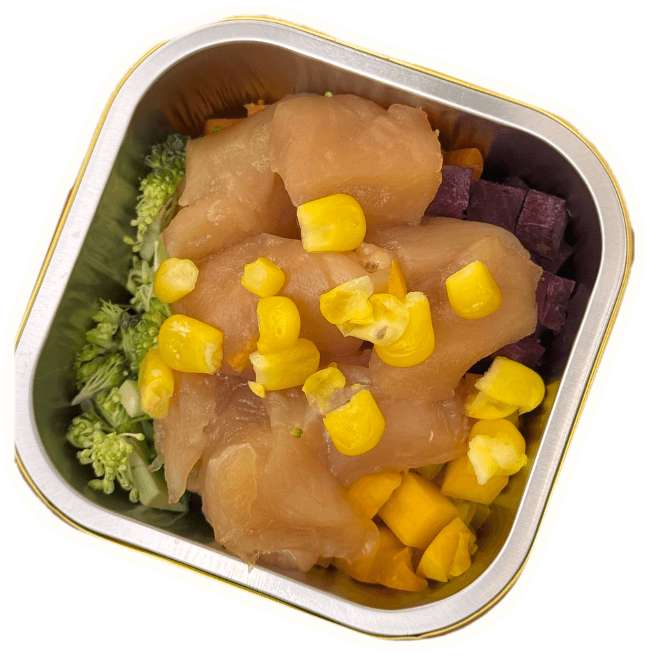 Senior Chicken & Pumpkin Meal